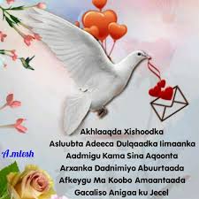 / find & download the most popular love photos on freepik free for commercial use high quality images over 8. Akhlaaqda Xishoodka Asluubta Adeeca Dulqaaka Iimaanka Aadmigu Kama Sina Wan Ku Jeclahay Somali Quotes Love Sms Love Poems
