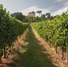 In der emilia romagna besuchte unsere kleine reisegruppe eine alte villa. Genuss In Italien Emilia Romagna Die Etwas Andere Toskana Welt