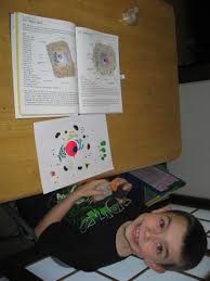 Check spelling or type a new query. Building A Cell Model Precious Treasures