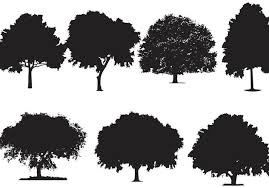 Tree silhouette with roots and branches. Oak Tree Silhouette Vectors Free Vector Download 146667 Cannypic
