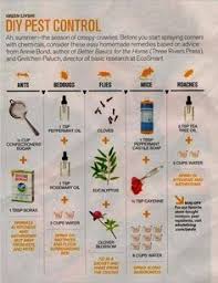 A great tool to use in your garden is a banana peel. 260 Diy Pest Control Ideas Pest Control Diy Pest Control Pests