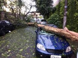 O impacto do granizo na lata do carro provoca pequenos e grandes amassados e. Chuva De Granizo Destelha Casa Em Guarulhos