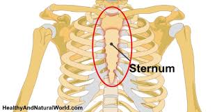 Pain Left Of Sternum/Xiphoid Process **Read Comment** : R/Costochondritis