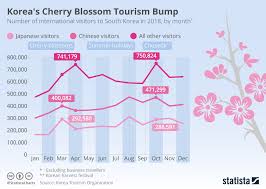 chart koreas cherry blossom tourism bump statista