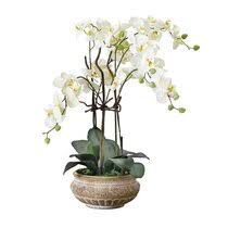 Check spelling or type a new query. Artificial Fake Flowers You Ll Love Wayfair Co Uk