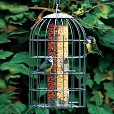 Caged Bird Feeders For Small Birds Uk Attract A Wider Variety Of Birds To Your Backyard In Spring By Offering Two Different Kinds Of Seed With This Sturdy Bird Feeders Wild Bird Feeders Wild Birds