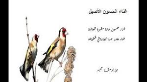 اغاني عراقية ✓ جميع اغاني المطربين و المطربات للاستماع و التحميل ✓ بدون تسجيل. ØºÙ†Ø§Ø¡ Ø­Ø³ÙˆÙ† ØºØ§Ø¨Ø© Ù…Ù‚Ø¨Ø±Ø© Ø§Ù„Ø¹Ø§Ù„ÙŠØ© ØªÙŠÙˆØ§ÙˆØ§Ø·ÙŠ Ø§Ù„Ø·ÙˆÙŠÙ„Ø© Youtube