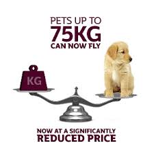Qatar Airways Reduces Prices And Doubles Weight Allowance For Transporting Domestic Pets As Baggage Qatar Airways