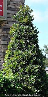Pin On Landscaping Ideas