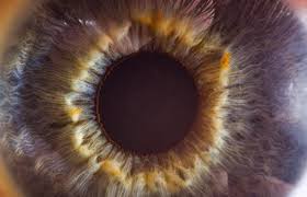 2 pairs of glasses $69.95, free eye exam w/ 2 pairs Center For Eye Care Excellence Drs Kintner Shearer And Rhinehart Od Home Facebook