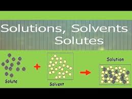 Solution Solvent Solute Definition And Difference Youtube Teaching Chemistry Chemistry Classroom Chemistry Basics