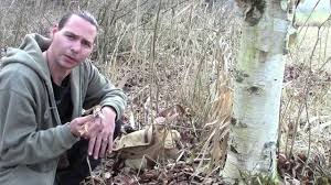 Wichtig sind zeitpunkt und technik für den richtigen lavendel rückschnitt. Die Birke Youtube