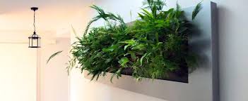 Green walls make a powerful visual statement to clients and potential customers. Diy Living Walls Urbanstrong