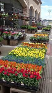 Entrance To Lowe S Garden Center C R Colorado Small City Garden Garden Center Displays Lowe S Garden Center