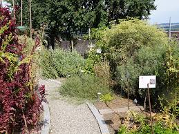 (zum lesen bitte das bild anklicken). Herborama Offener Garten Und Fuhrungen