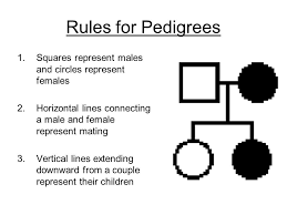 Pedigree Notes Ppt Video Online Download