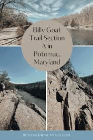 5 Awesome Hiking Trails You & Your Dog Will Love | Dc Fray