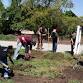 Ambler Arboretum Volunteer Days event in Philadelphia, PA