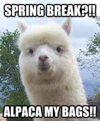 He's very nice and he laughs a lot. 7 Funny Spring Memes To Welcome The New Season