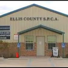 Get directions, reviews and information for ellis county courthouse in waxahachie, tx. Ellis County Spca Animal Shelters 2570 Fm 878 Waxahachie Tx Phone Number