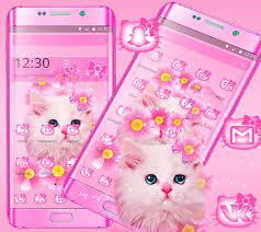 Hello kitty, cartoon, pink, cat, flower, hello kitty graphic. Download Cute Pink Kitty Cat Theme On Pc Mac With Appkiwi Apk Downloader