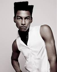 The perm hairstyles for men have very funny, stylish, cool, elegant and glamorous look. Black Men Hairstyles 2012 Stylish Eve