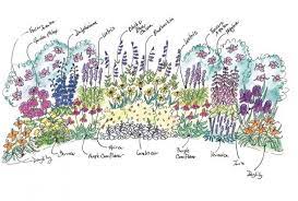 Mixed Border Garden Cottage Garden Borders Flower Garden Plans Garden Borders