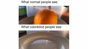 How do colorblind people know colors. What Colorblind People See Know Your Meme