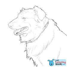 35+ australian shepherd coloring pages for printing and coloring. 7 Pics Of Australian Shepherd Coloring Pages Australian Shepherd With Free Download Australian Sheph Dog Coloring Book Dog Coloring Page Puppy Coloring Pages