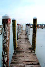 What S Up Dock Visiting Dock Sidewalk