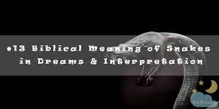 13 Biblical Meaning Of Snakes In Dreams Interpretation Dream Interpretation Dream Snake Biblical