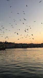 Ozgurluk Sahil Ozgurluk Turkiye
