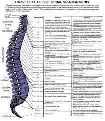 Spine Nerve Chart Symptoms Best Picture Of Chart Anyimage Org