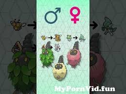 Pokemon Tonta Aventura | INCREIBLE Animación REACCION from pokemon sexo  Watch Video - MyPornVid.fun