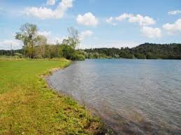 How to say lago di mezzano in italian? Agriturismo Lago Di Mezzano App Costa Del Lago Flats For Rent In Valentano Lazio Italy