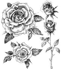 Ensemble De Tatouage Temporaire Rose Dessin Facile Dessin Au Crayon Dessin Graphique Dessin Princesse Des In 2020 Roses Drawing Flower Tattoo Drawings Rose Tattoos