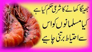 We can state that allah has mentioned selective #seafood is halal to eat and the real animals are strictly denied to be eaten. Prawns Halal Or Haram Shia List Of Halal And Kosher Fish