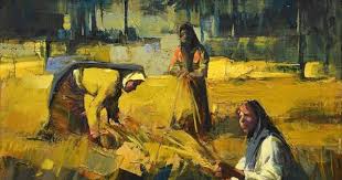 iraq art paintings by amer ali مشهد لموسم الحصاد في الريف العراقي باستخدام درجات اللون الاصفر الجميل painting arabic calligraphy art calligraphy art