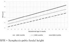 Figure 2 From Symphysis Pubis Fundal Height Charts To Assess