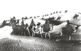 Image result for Bianco 1965 Fleet