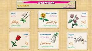Check spelling or type a new query. Belajar 3 Bahasa Arab Inggris Indonesia Tema Nama Nama Bunga Dan Sayuran Youtube
