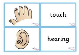 225.05 kb, 851 x 1200. Five Senses Printables