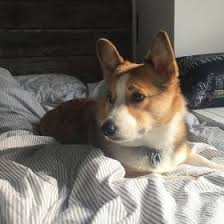 Holiday rentals in hollywood hills. Grey The Gay Greythegay Profile Pinterest