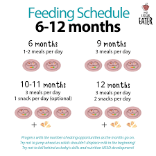 My 9 month old is pretty much on the same schedule. Feeding Schedules 6 12 Months My Little Eater Feel Confident Raising Healthy Little E Baby Feeding Schedule Baby Eating Schedule Baby Led Weaning Recipes