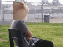 Explore quality news images, pictures from top photographers around the world. Israel Gifs Tenor