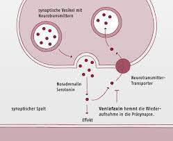 Vielleicht gelingt es damit, die beschwerden zu lindern. Wirkstoff Lexikon Venlafaxin