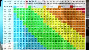 bmi charts lifters athletes