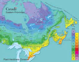 How To Find Your Canadian Plant Hardiness Zone Empress Of Dirt