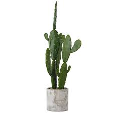 Epingle Par Suzanne Sanglier Sur Furnishing Pots De Ciment Tapis Jardin Ciment