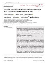 While no cure for lymphoma exists, many dogs can live for a long period with a good quality of life. Clinical Staging Of Canine Thyroid Tumours T Primary Tumour T0 No Download Table